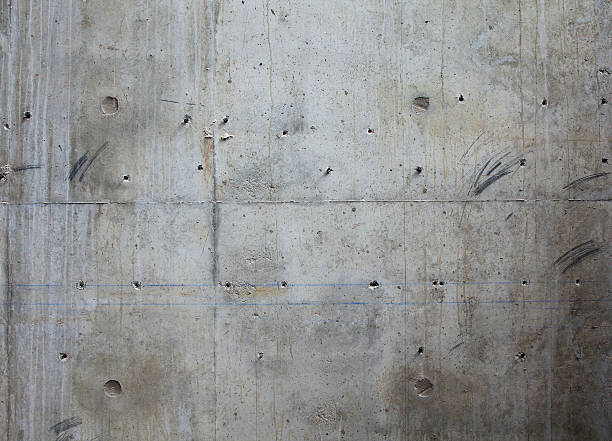 Best Concrete Grinding and Polishing in Zephyrhills West, FL